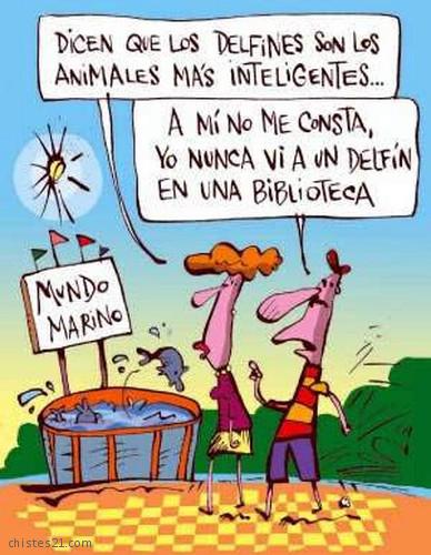 Animales inteligentes