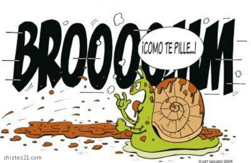 Caracol enfadado