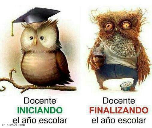 Docentes