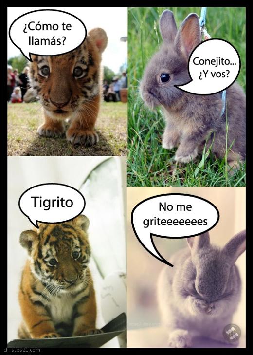 Humor tierno