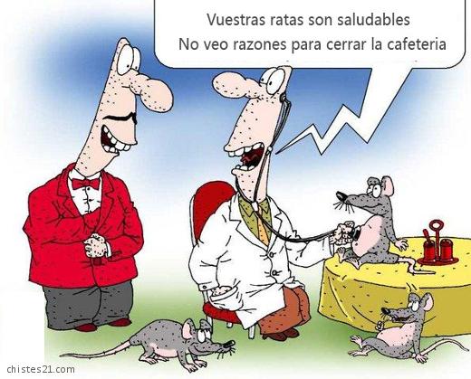 Las ratas