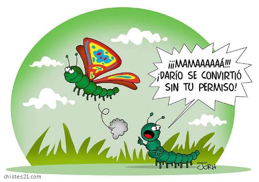 Mariposón reconocido