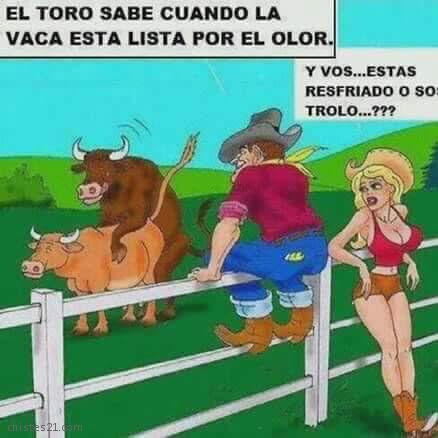 Los animales saben