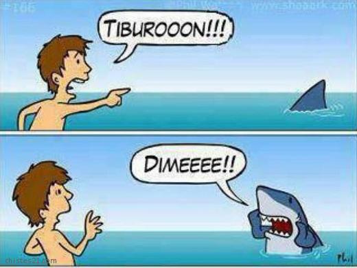 Tiburón!