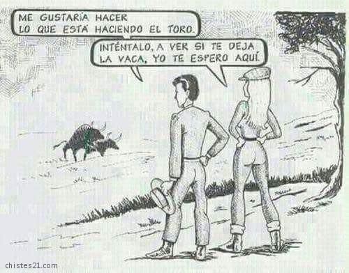 Indirecta