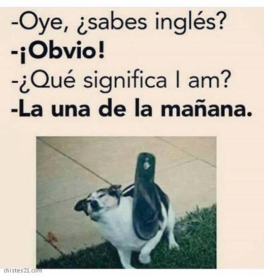 Chiste Saber Ingles