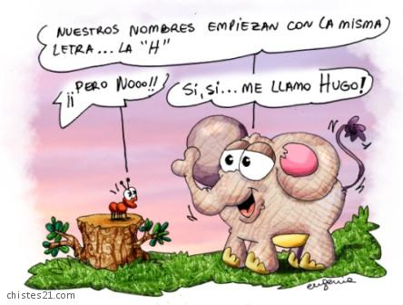 El elefante y la hormiga