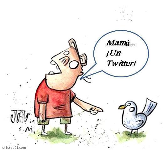 Un twitter