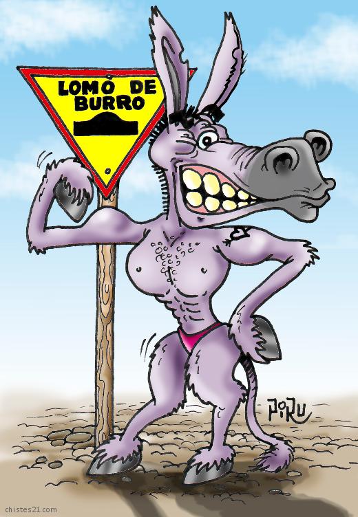 Lomo de burro