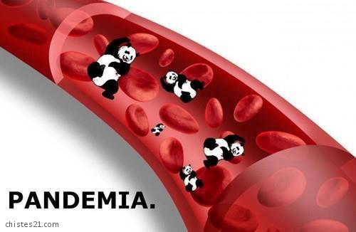 Pandemia