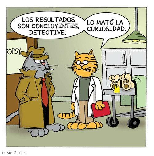 Investigación