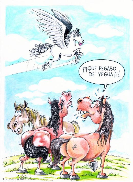 Pegaso ...