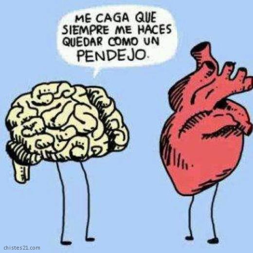   Cabeza y corazón